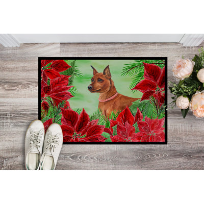 Non-Slip Outdoor Doormat