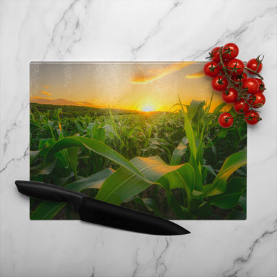 field at sun Designer Glass Chopping Board  Designer Glass Chopping Board
