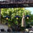 Cho Outdoor Pendant