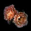 Le Temps des Roses, reproduction de photo sur toile tendue-18515737-74412537-74412538