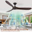 Solid Wood Ceiling Fan with  Remote-1796635960-1796635961