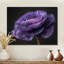 Reproduction d'art mural noir et mauve Nature Nuance I - Renoncule-491470684-491470625