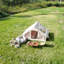 Tente de camping gonflable-114890831