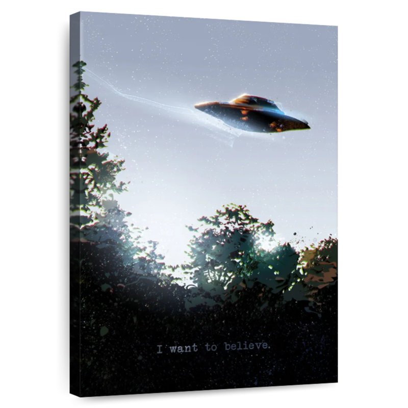 Kelan I Want To Believe It, 48" H x 32" W