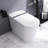 Ceramic Smart Toilet With Heated Seat
