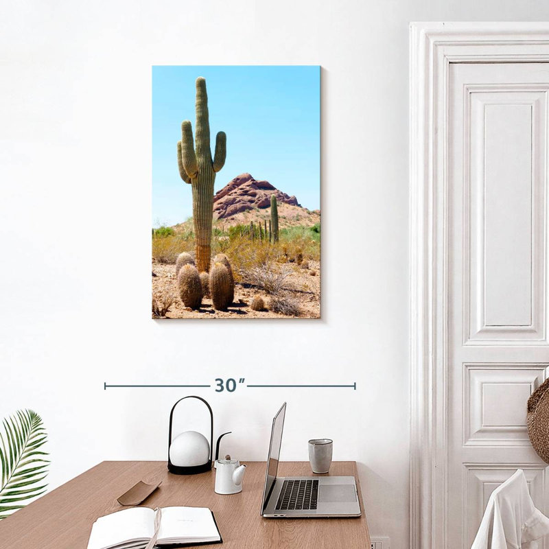 Harnek le cactus géant, H 30 po x l 20 po