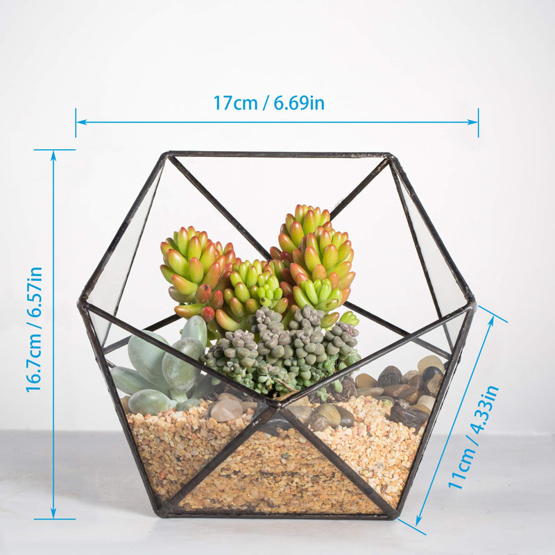 Bonsell Pot Planter