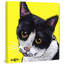 Cat Tuxedo 1 Piece Wrapped Canvas Painting-1430932537