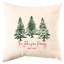Housse de coussin -1739518384