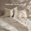 Ensemble de draps EverGrace 100 % lin européen-136355552-136355560