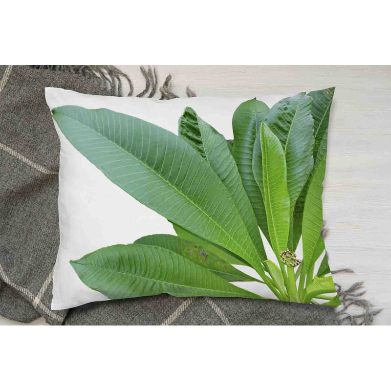 Lumbar Cushion