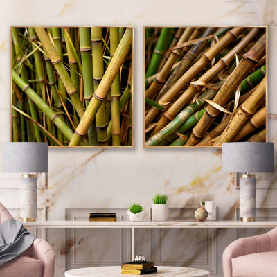 Gros plan sur un champ de bambou - ensemble de 2 collages carrés en bambou