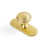 Brushed Gold