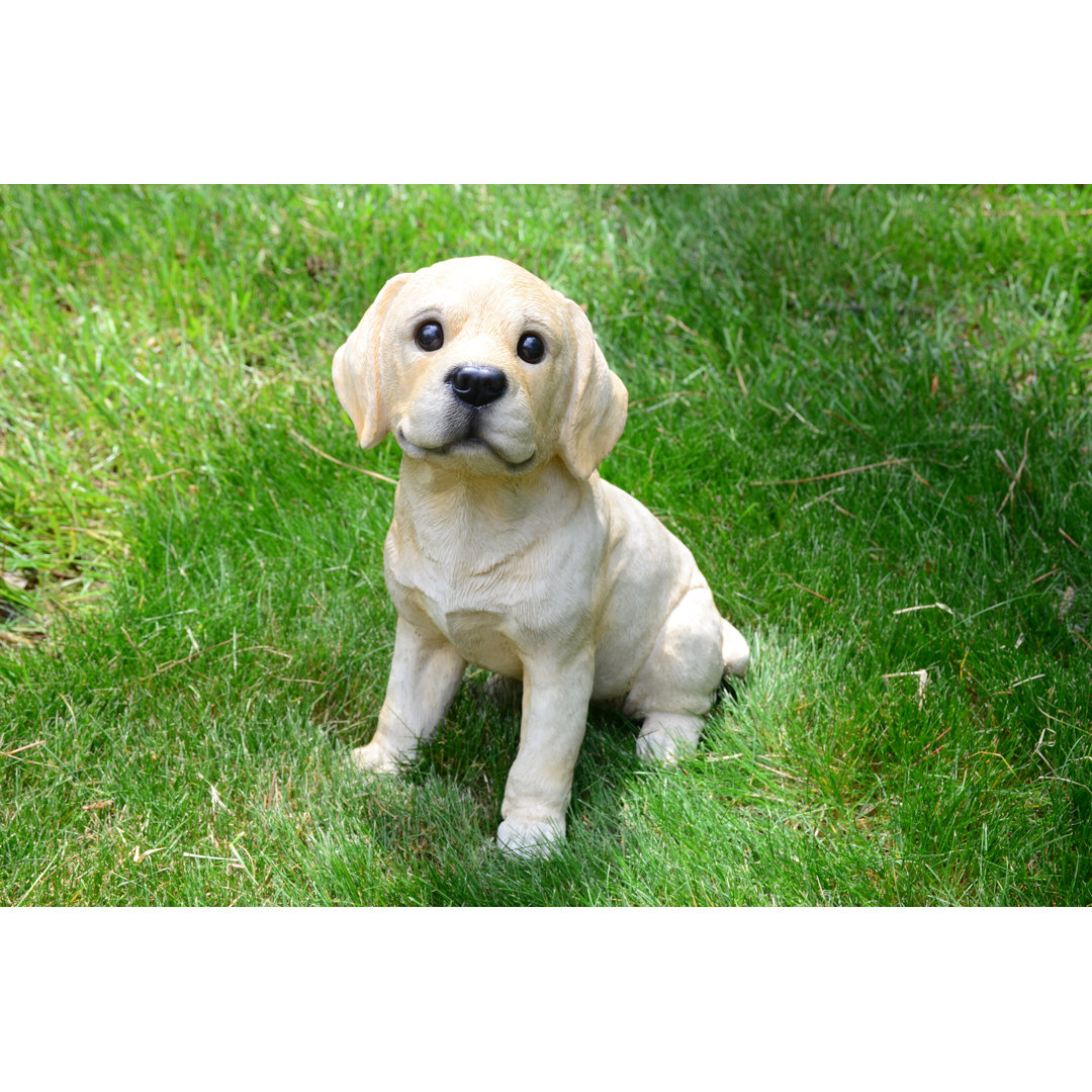 Orbison Dog Plastic Garden Statue August Grove® 