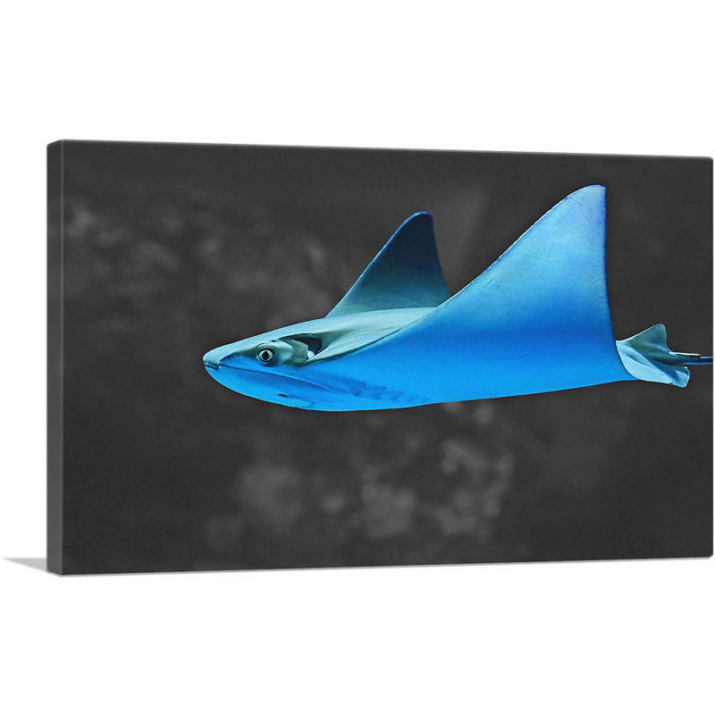«Blue Stingray Manta Ray in the Ocean», impression sur toile tendue, H 26 po x l 40 po x P 0,75 po