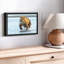 Animal "Art mural grizzly avec saumon"-101793867