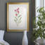 Delicate Pink II - peinture encadrée-452817591-452817596