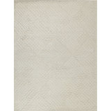 Exquisite Rugs Sandro Handmade Hand-Tufted New Zealand Wool On Canvas Ivory Area Rug