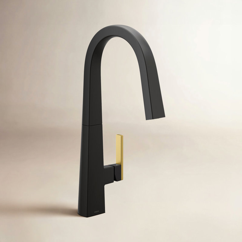 Nio Matte Black One-Handle High Arc Pulldown Kitchen Faucet, Matte Black