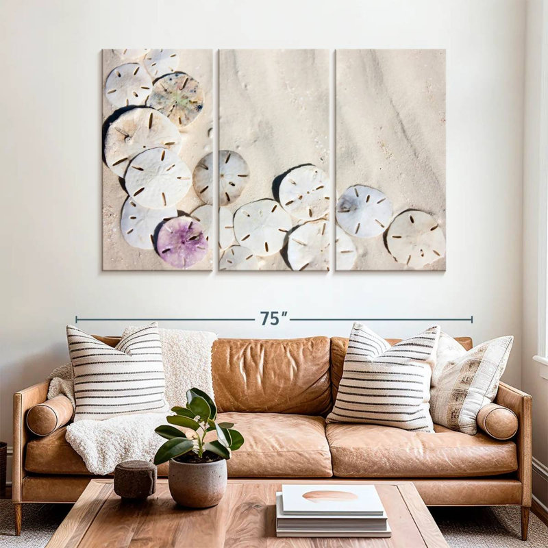 Brampt Beach Sand Dollars, 24" H x 38" W