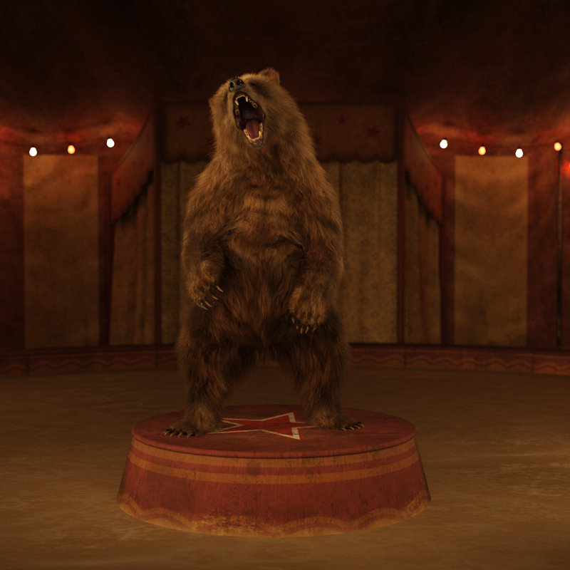 Circus Carnival Bear by Cloudytronics - No Frame Print on Canvas, 30cm H x 30cm W