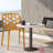 Jakubowski Dynamic Modern Plastic Dining Side Chair with Honeycomb Design-1456399591