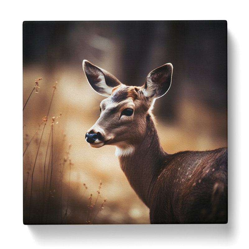 Deer Photograph - Print