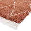 Archuleta area rug Machine Woven Rust-717754646