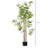 70.75 " H Faux Bamboo Tree in Cement Pot