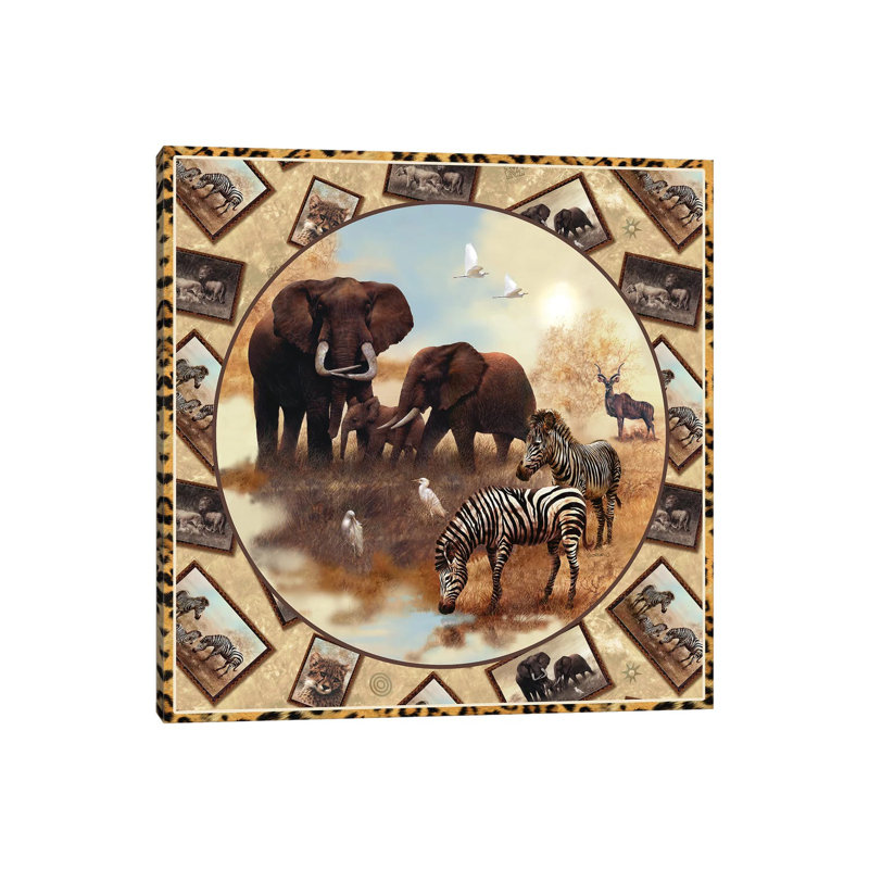 Safari Square Circle - Wrapped Canvas Print, 93.98 cm H x 93.98 cm W x 1.91 cm D