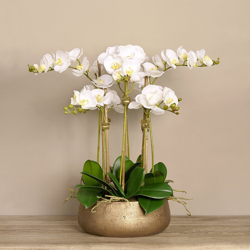 Orchid Floral Arrangement in Planter, 24" H x 18" W x 18" D, Gold, White