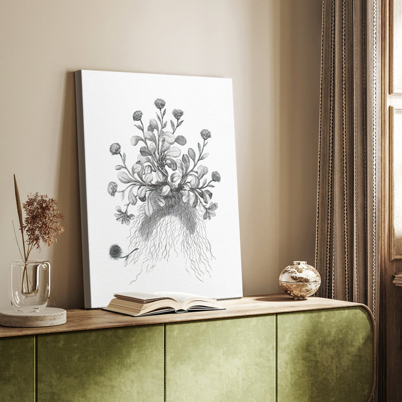 B&W Plant Speciment VII - galerie sur mesure, H 27 po x l 18 po