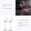 500ml Red Wine Glass-487360106