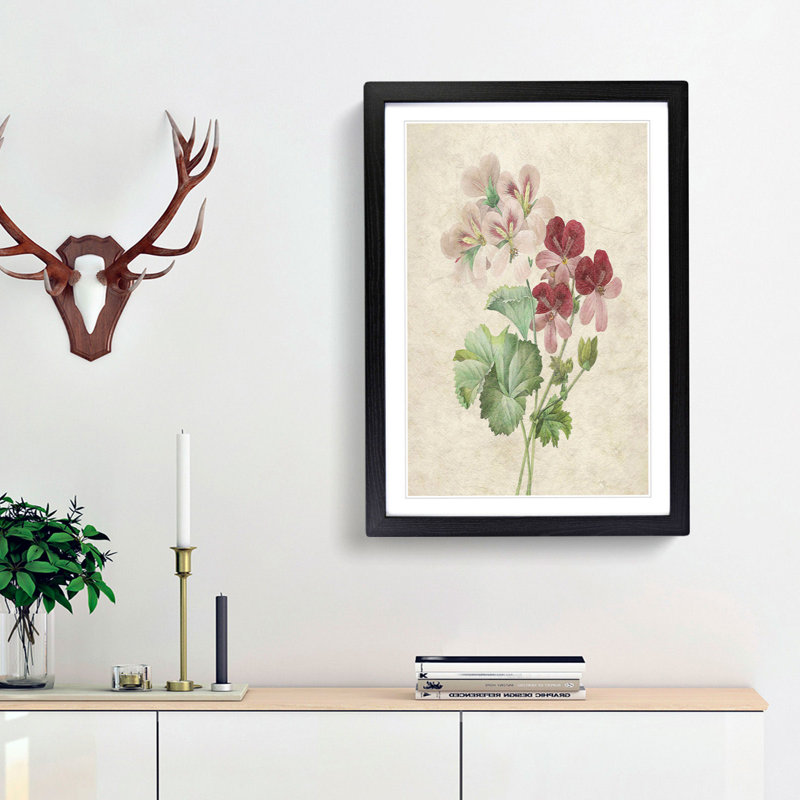 Cranesbill Flowers by Pierre-Joseph Redoute - Picture Frame Painting Print, 65cm H x 48cm W x 2cm D, Black Framed