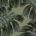 Palm Hunter - Pacifica Premium