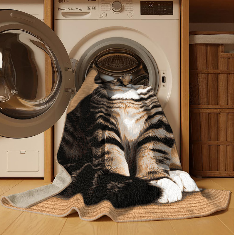 Washable Domestic Shorthair Cats Area Rug, Rectangle 2' x 3'
