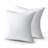 Set Of 2 Plush Pillow Inserts-121335030