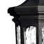 Raley 4-Light Outdoor Wall Lantern