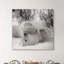 «Hudson Bay Bear», photographie-329774921-329774925