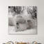 «Hudson Bay Bear», photographie-329774925-329774931