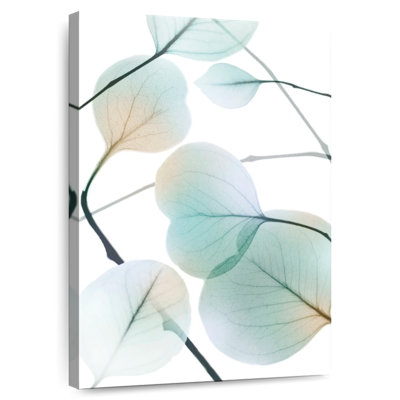 Harnek Sunkissed Eternity II