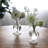 Glass Table Vase-106553106
