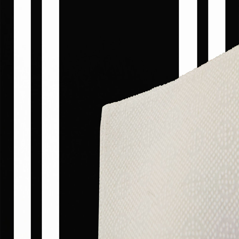 Tapis d'entrée antibactérien, 39,4 po x 59,1 po | 100% polyester, hauteur des poils de 0,4 po, envers en feutre de PVC antidérapant | Lavable à la machine, impression numérique 3D, durable et élégante pour une décoration moderne