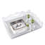 Queen Anne Decorative Tray-1702199561