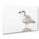 Seagull Bird In The Rainbow In Abstract - Wrapped Canvas Print