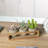 Ceramic Pot Planter