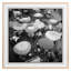 Café Umbrellas Print by Grand Archives-1307190283-1307190282