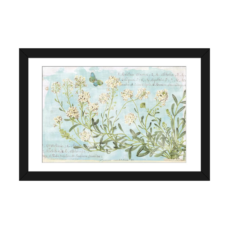 « botanique blue i », impression sur toile, Papier d'art encadré noir, Blanc, H 16 po x l 24 po x P 1 po