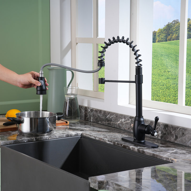 Matte Black Single-Handle Spring Pull-Down Kitchen Faucet