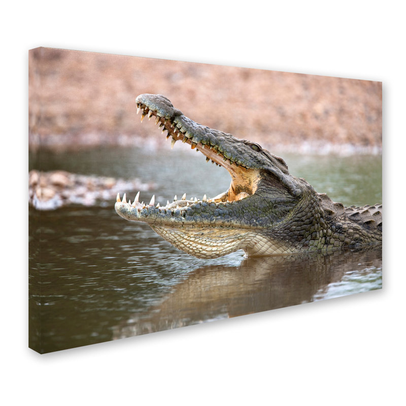 Ann «Alligator», reproduction de photo sur toile tendue Ann, H 22 po x l 32 po
